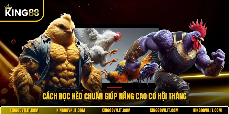 Cách đọc kèo chuẩn giúp nâng cao cơ hội thắng